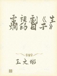 电视剧《生逢灿烂的日子》封面