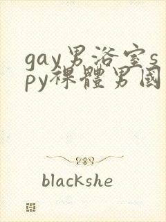 gay男浴室spy裸体男国产封面