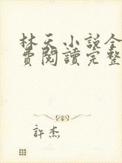 林天小说全文免费阅读完整版
