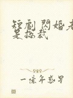 短剧 闪婚老公是总裁