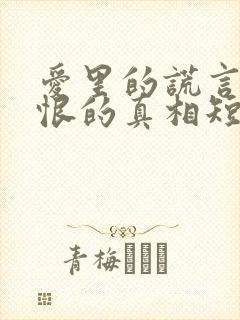 爱里的谎言,仇恨的真相短剧全集封面