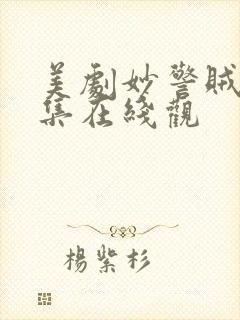 美剧妙警贼探全集在线观