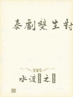 泰剧双生对决封面