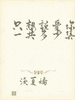 只想说爱你泰剧一共多少集封面