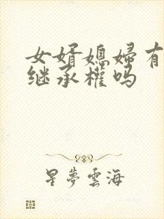 女婿媳妇有遗产继承权吗封面