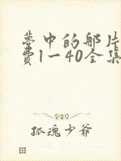 梦中的那片海免费l一40全集