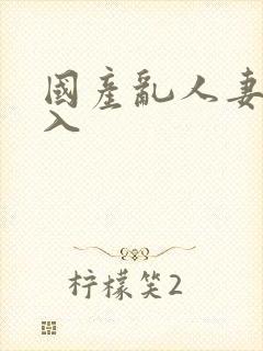 国产乱人妻精品入