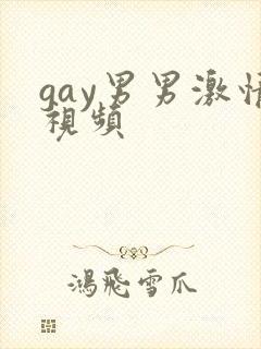 gay男男激情视频