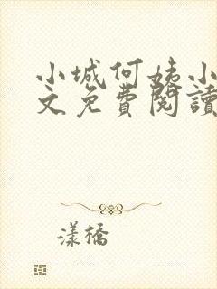 小城何姨小说全文免费阅读封面