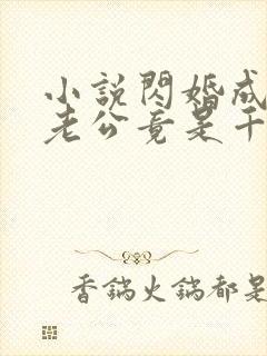 小说闪婚成宠,老公竟是千亿大佬免费下载