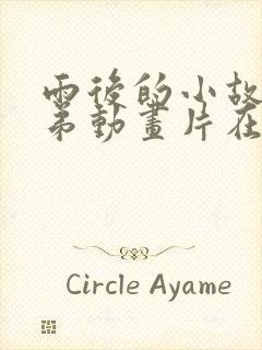 雨后的小故事姐弟动画片在线观看