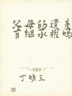 父母的遗产孙子有继承权吗