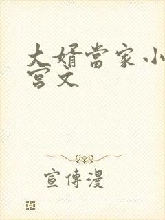 大婿当家小说后宫文封面