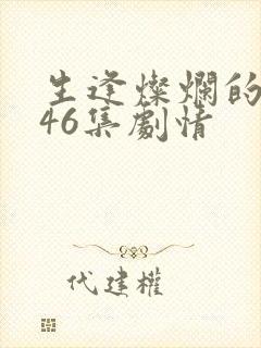 生逢灿烂的日子46集剧情封面