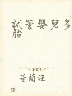 试管婴儿多双胞胎