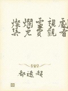 灿烂电视剧40集免费观看