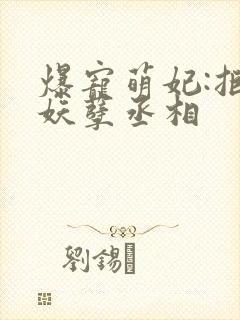 爆宠萌妃:拒嫁妖孽丞相封面