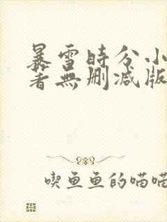 暴雪时分小说原著无删减版