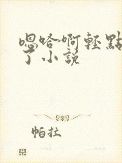 嗯哈啊轻点太快了小说