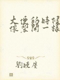 大便的时候肛门像裂开一样疼