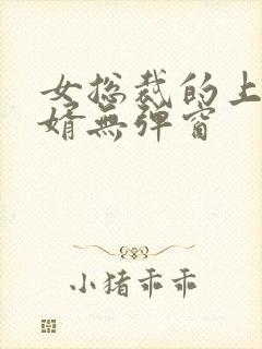 女总裁的上门女婿无弹窗