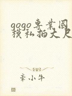 gogo专业国模私拍大尺度