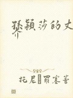 孙颖莎的丈夫简介封面