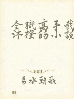 全职高手截胡苏沐橙的小说