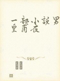 一部小说男主叫皇甫夜封面