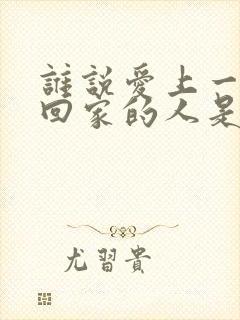 谁说爱上一个不回家的人是什么歌封面