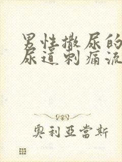 男性撒尿的时候尿道刺痛流脓