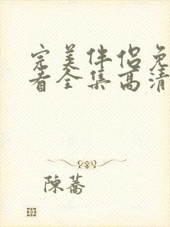 完美伴侣免费观看全集高清版电视剧封面