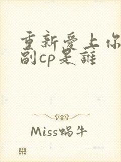 重新爱上你泰剧副cp是谁