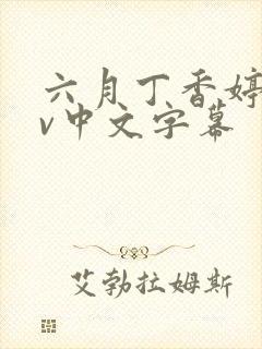 六月丁香婷婷av中文字幕