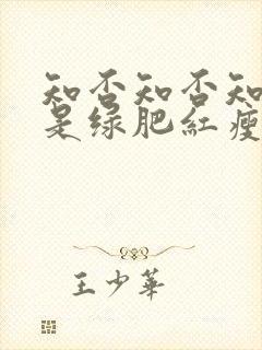 知否知否知否应是绿肥红瘦全诗