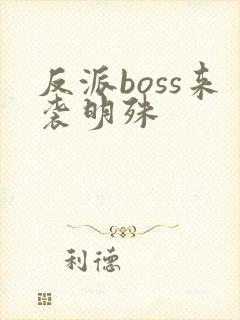 反派boss来袭明殊