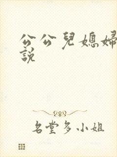 公公儿媳妇的小说