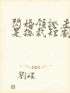 闪婚领证老公竟是总裁短剧