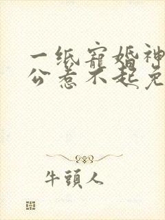 一纸宠婚神秘老公惹不起免费阅读