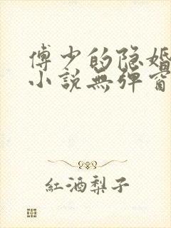 傅少的隐婚娇妻小说无弹窗