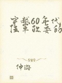 穿越60年代退伍军政委的小说