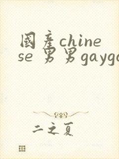 国产chinese 男男gaygay网站