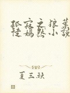 孤寂之狼叶凡司徒嫣然小说封面