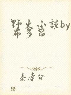 野火小说by夏布多昂