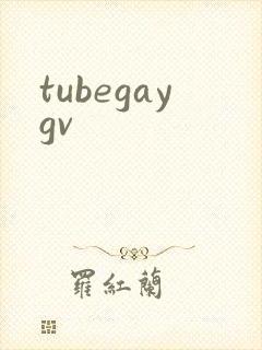 tubegaygv封面