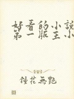 好看的小说大全第一版主小说网免费