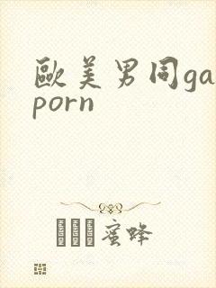 欧美男同gayporn