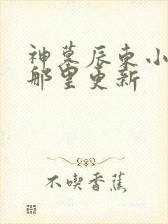 神墓辰东小说在那里更新封面