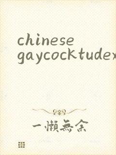 chinesegaycocktudexxx