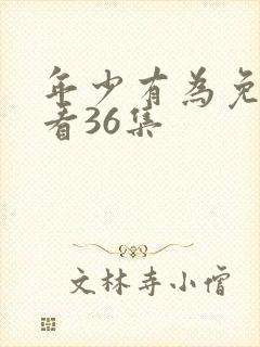 年少有为免费观看36集